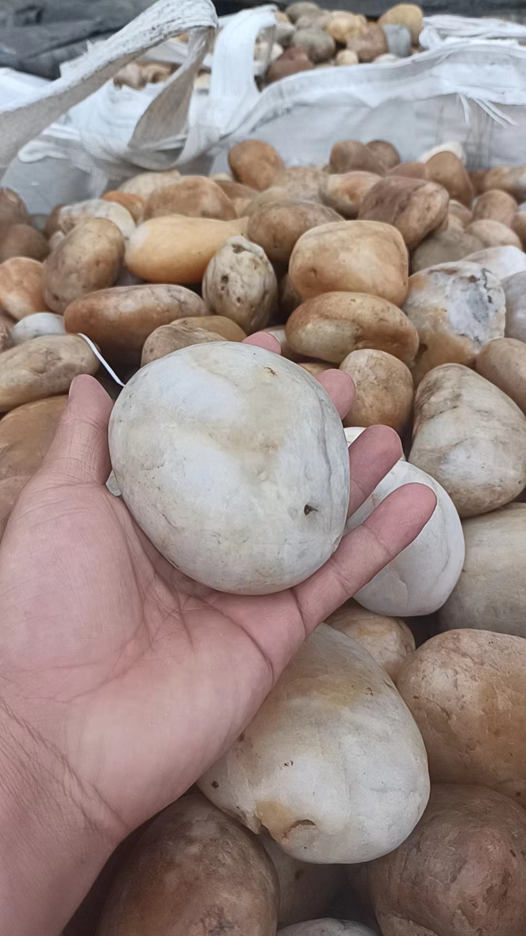 仙桃鹅卵石
